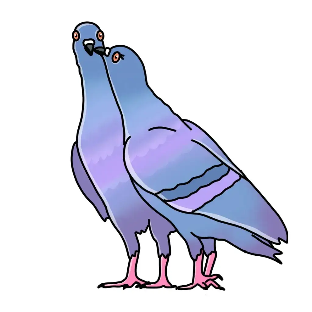 two pigeons in love vogeln