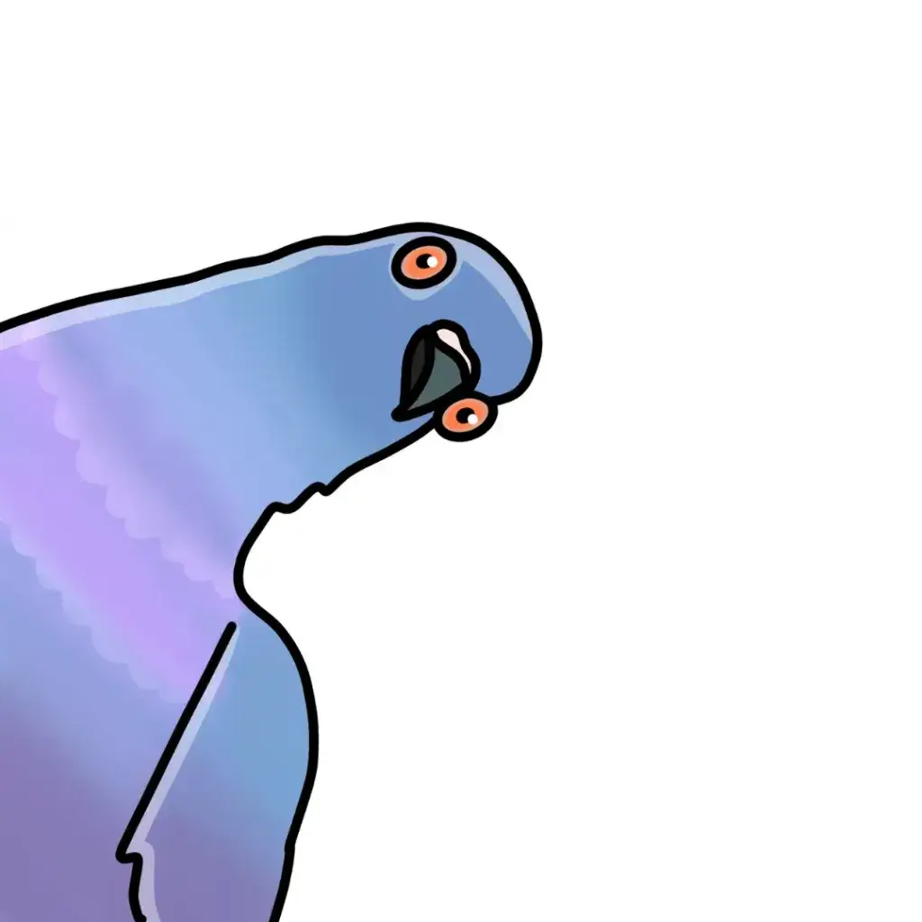 pigeon vogeln peeking