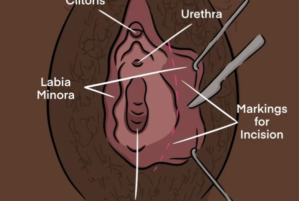 Inclusive Anatomical Diagrams